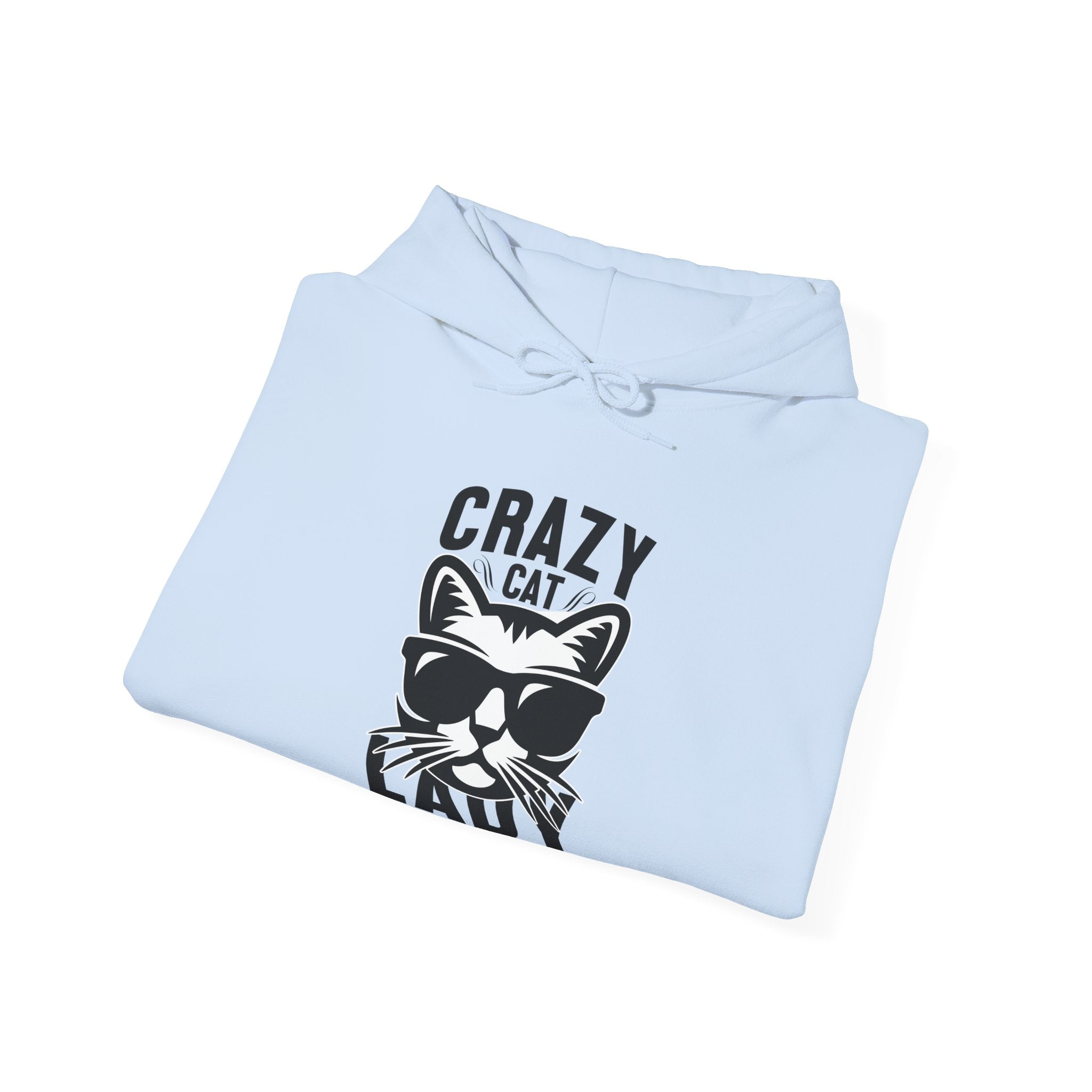 Crazy Car Lady In Training Unisex Heavy Blend Hooded Sweatshirt