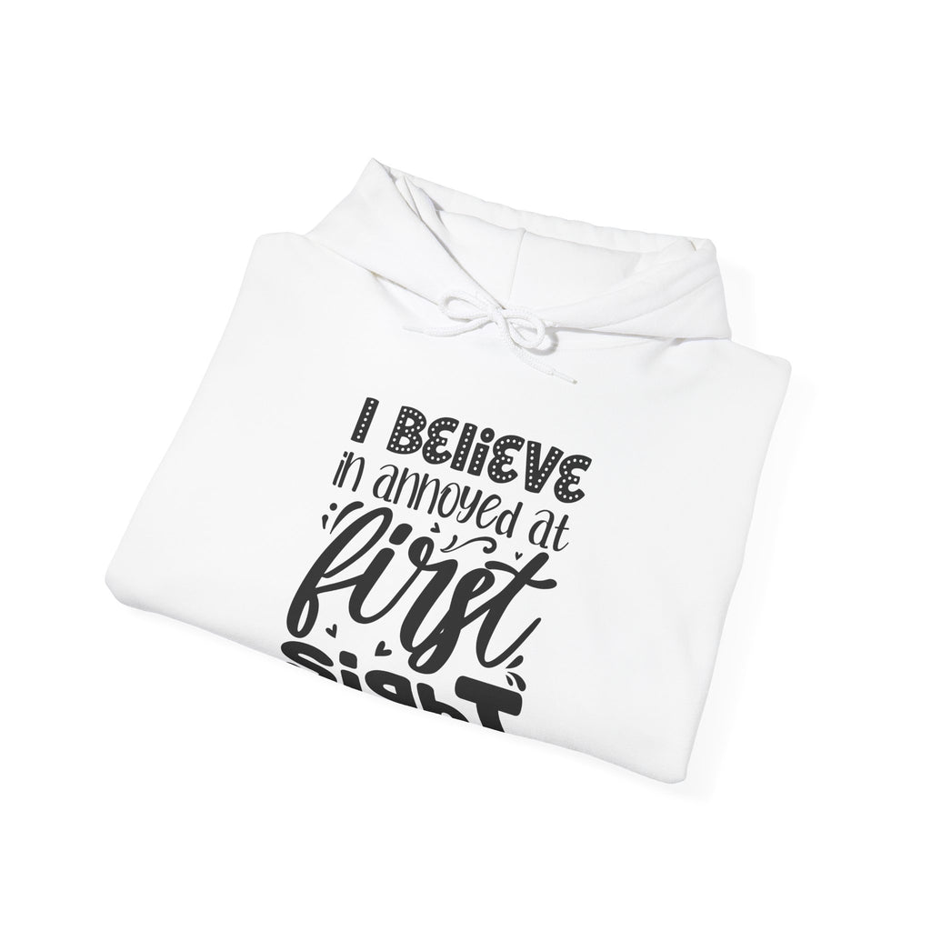 I Believe In Annoyed At First Sight Unisex Heavy Blend Hooded Sweatshirt
