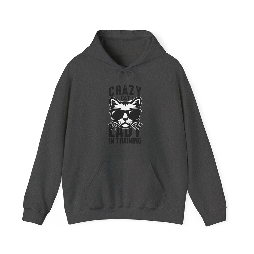 Crazy Car Lady In Training Unisex Heavy Blend Hooded Sweatshirt